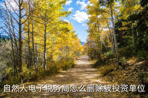 電子稅務(wù)局如何刪除不管的企業(yè)，電子稅務(wù)局網(wǎng)頁(yè)怎么清除企業(yè)稅號(hào)記錄
