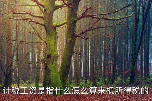 工資如何抵扣所得稅，企業(yè)所得稅工資抵扣的一些訣竅