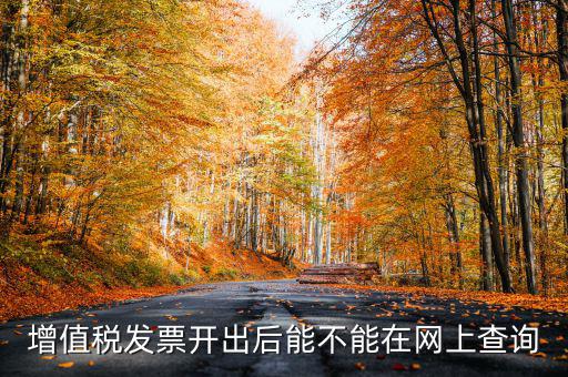 如何查詢發(fā)票完稅，稅控軟件上已經(jīng)開的發(fā)票怎么查詢