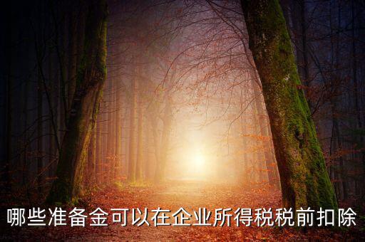 金融企業(yè)貸款損失準備金如何稅前扣除，哪些準備金可以在企業(yè)所得稅稅前扣除