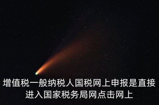 增值稅一般納稅人國稅網上申報是直接進入國家稅務局網點擊網上