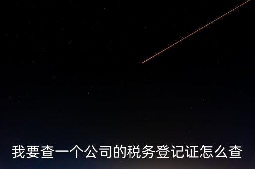如何查企業(yè)的稅收記錄，想查一個(gè)公司的稅費(fèi)情況怎么查
