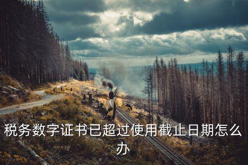 稅務數字證書過期如何更新，數字CA證書將過期該如何更換