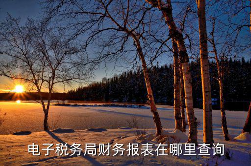 電子稅務局財務報表在哪里查詢