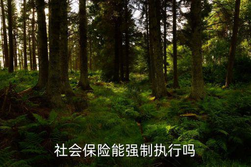 社會保險費如何執(zhí)行，社會保險能強制執(zhí)行嗎