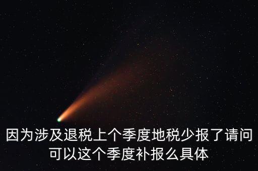 地稅如何補充申報，因為涉及退稅上個季度地稅少報了請問可以這個季度補報么具體