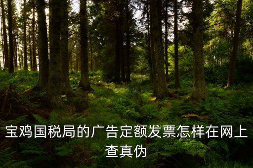 國稅定額發(fā)票如何查驗(yàn)，國稅的定額發(fā)票怎么辨別真假制作的跟假的似的