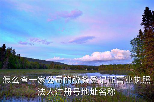 怎么查一家公司的稅務登記證營業(yè)執(zhí)照法人注冊號地址名稱