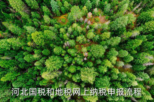 河北國稅和地稅網上納稅申報流程