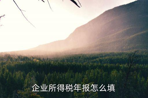 如何填寫企業(yè)所得稅年報(bào)，企業(yè)所得稅年報(bào)怎么填