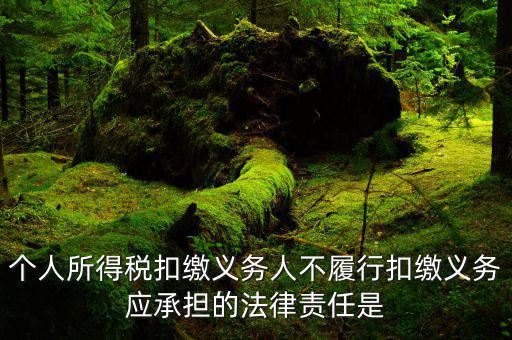 扣繳義務(wù)人如何追責(zé)，個(gè)人所得稅扣繳義務(wù)人不履行扣繳義務(wù)應(yīng)承擔(dān)的法律責(zé)任是