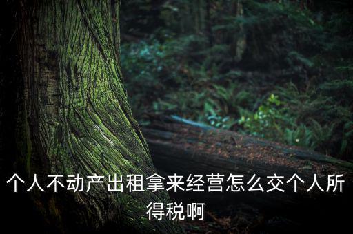 個人出租不動產如何納稅，個人房產出租應如何納稅 住宅可按5稅率征收