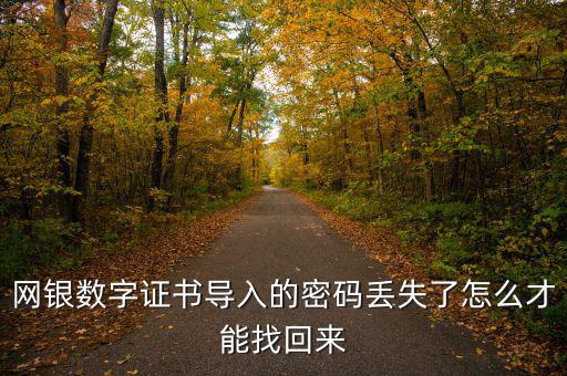 數字證書密碼錯誤如何找回，營業(yè)執(zhí)照數字證書密碼忘記了 怎么辦