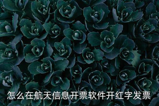 航天信息如何開票系統(tǒng)，航天信息開票系統(tǒng)