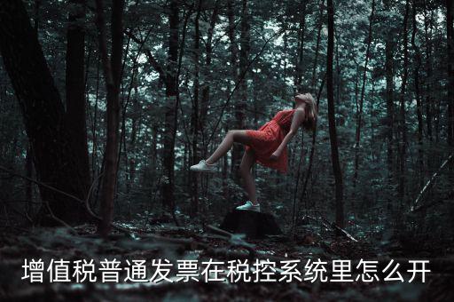 普通發(fā)票如何稅控系統(tǒng)，在網(wǎng)上購買了國稅普通發(fā)票怎么導入稅控盤里