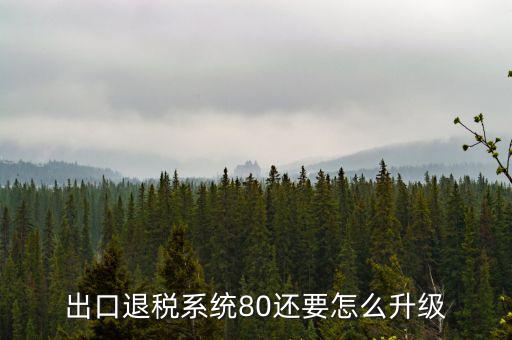 出口退稅系統(tǒng)80還要怎么升級(jí)