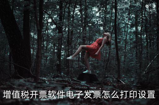 電子發(fā)票如何設(shè)置，acdsee5怎樣修改電子發(fā)票