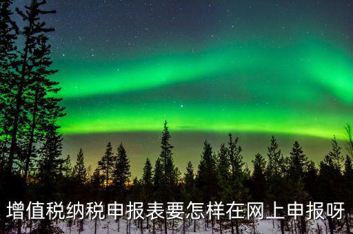 增值稅網(wǎng)上如何申報(bào)系統(tǒng)，增值稅納稅申報(bào)表要怎樣在網(wǎng)上申報(bào)呀