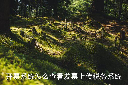 開(kāi)票系統(tǒng)怎么查看發(fā)票上傳稅務(wù)系統(tǒng)
