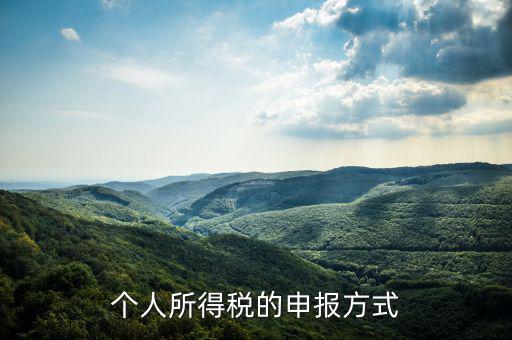 如何申請個人所得稅，個稅怎么申報