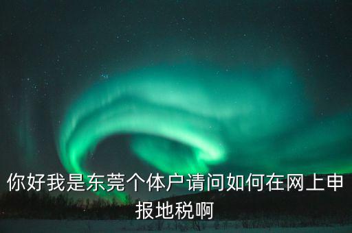 東莞個稅如何申報，你好我是東莞個體戶請問如何在網(wǎng)上申報地稅啊