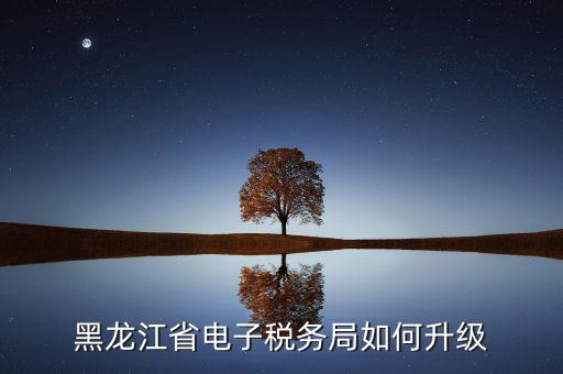 如何升級國稅系統(tǒng)，河南省電子稅務局版本過低怎么升級