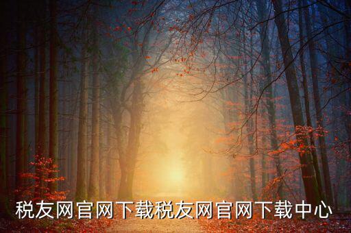 稅友如何下載，個(gè)稅在稅友網(wǎng)上下載下來(lái)了然后怎么安裝