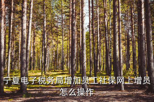 寧夏電子稅務(wù)系統(tǒng)如何開(kāi)通，開(kāi)通電子稅務(wù)局需要帶些什么東西去稅務(wù)局才能開(kāi)通