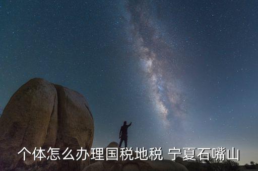 寧夏個稅如何申報，個體怎么辦理國稅地稅 寧夏石嘴山