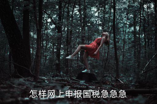 國稅網(wǎng)上稅務(wù)如何申報，怎樣網(wǎng)上申報國稅急急急
