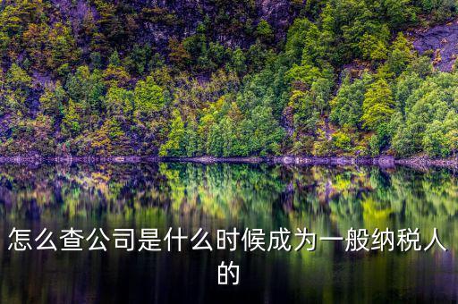 如何查詢一般人納稅認(rèn)定時間，怎么查公司是什么時候成為一般納稅人的