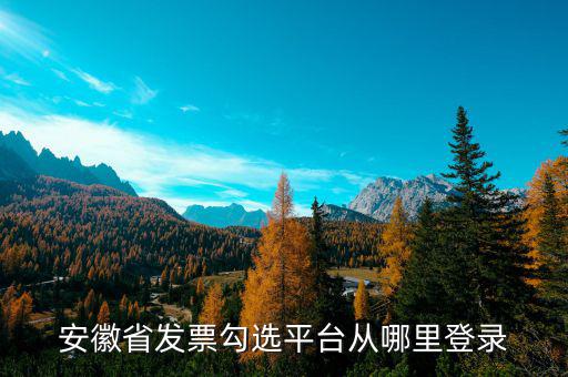 安徽省如何在網(wǎng)上申請購發(fā)票，安徽省發(fā)票勾選平臺(tái)從哪里登錄