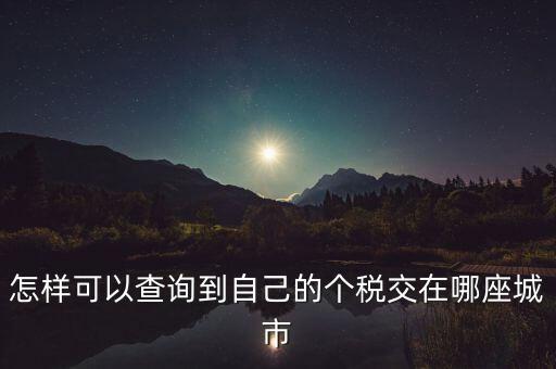 如何查詢個人所得稅所交地點，怎樣可以查詢到自己的個稅交在哪座城市