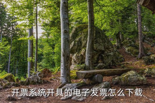 發(fā)票助手如何安裝在手機(jī)上，增值稅發(fā)票稅控開票軟件怎么安裝