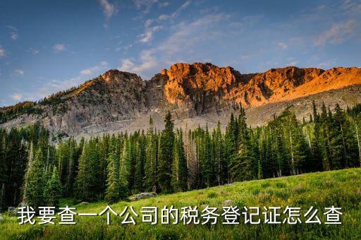 如何查詢稅務(wù)登記表，稅務(wù)登記證查詢