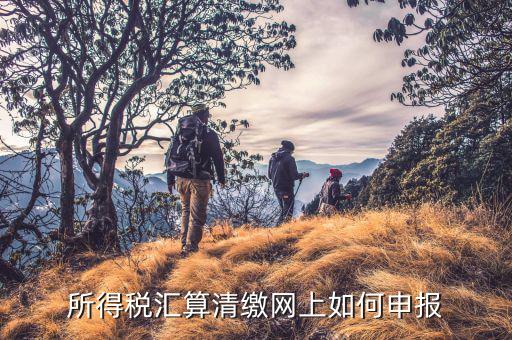 清稅申請如何在云稅廳申請，網(wǎng)上企業(yè)所得稅匯算清繳如何申報(bào)