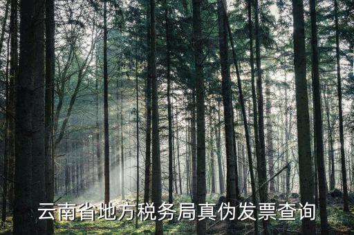如何查詢云南國稅發(fā)票真?zhèn)尾樵?，云南省地方稅?wù)局真?zhèn)伟l(fā)票查詢