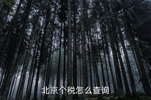 北京地稅局官網(wǎng)如何查個(gè)稅，怎么查詢最新北京個(gè)稅繳納情況
