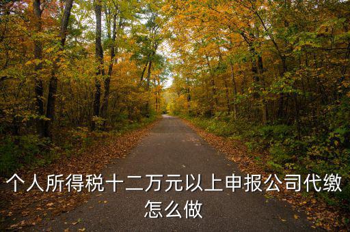 如何做好12萬元申報(bào)征收工作，個(gè)人所得稅十二萬元以上申報(bào)公司代繳怎么做