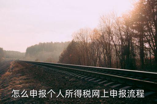 泉州個(gè)人所得稅如何網(wǎng)上申報(bào)，個(gè)人所得稅網(wǎng)上申報(bào)步驟
