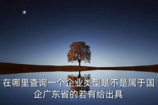單位類(lèi)型如何查詢，如何查詢企業(yè)管理類(lèi)別