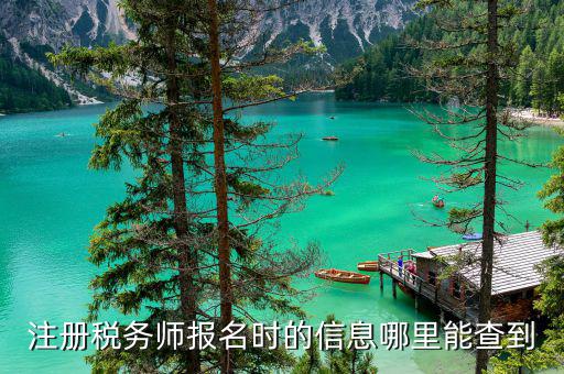 如何查詢注冊稅務(wù)師信息，注冊稅務(wù)師報(bào)名時(shí)的信息哪里能查到