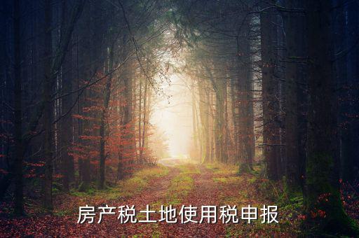 金稅三期如何申報(bào)土地使用稅，房產(chǎn)稅土地使用稅申報(bào)