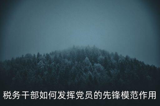 稅收征管改革黨員如何發(fā)揮作用，稅務(wù)干部如何發(fā)揮黨員的先鋒模范作用