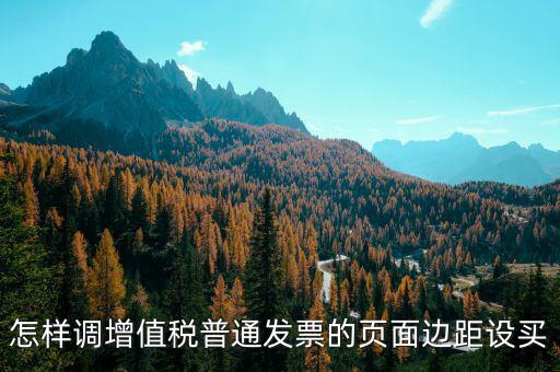 怎樣調(diào)增值稅普通發(fā)票的頁(yè)面邊距設(shè)買(mǎi)