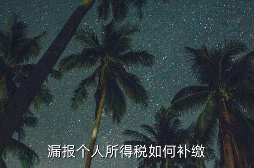 安徽省個(gè)稅如何補(bǔ)充申報(bào)，漏報(bào)個(gè)人所得稅如何補(bǔ)繳