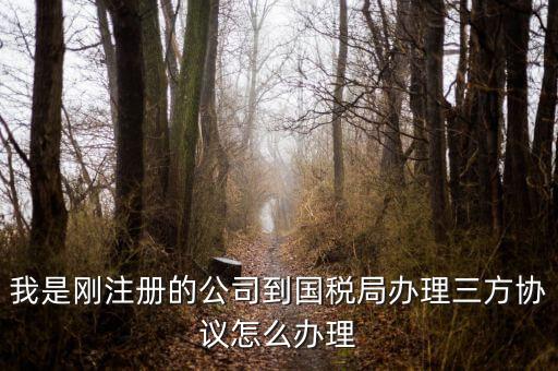 如何激活稅務(wù)三方協(xié)議，稅務(wù)三方協(xié)議怎樣激活