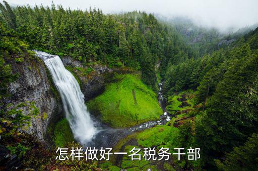 如何做新時代優(yōu)秀稅務(wù)干部，新時代稅務(wù)干部需要什么樣的奮斗精神