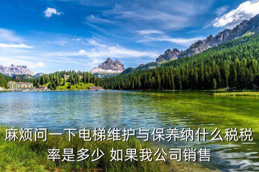 麻煩問(wèn)一下電梯維護(hù)與保養(yǎng)納什么稅稅率是多少 如果我公司銷售