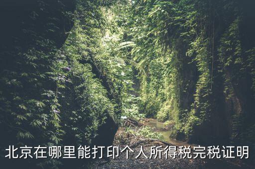 北京如何打個稅證明，北京買房 如何開個稅證明